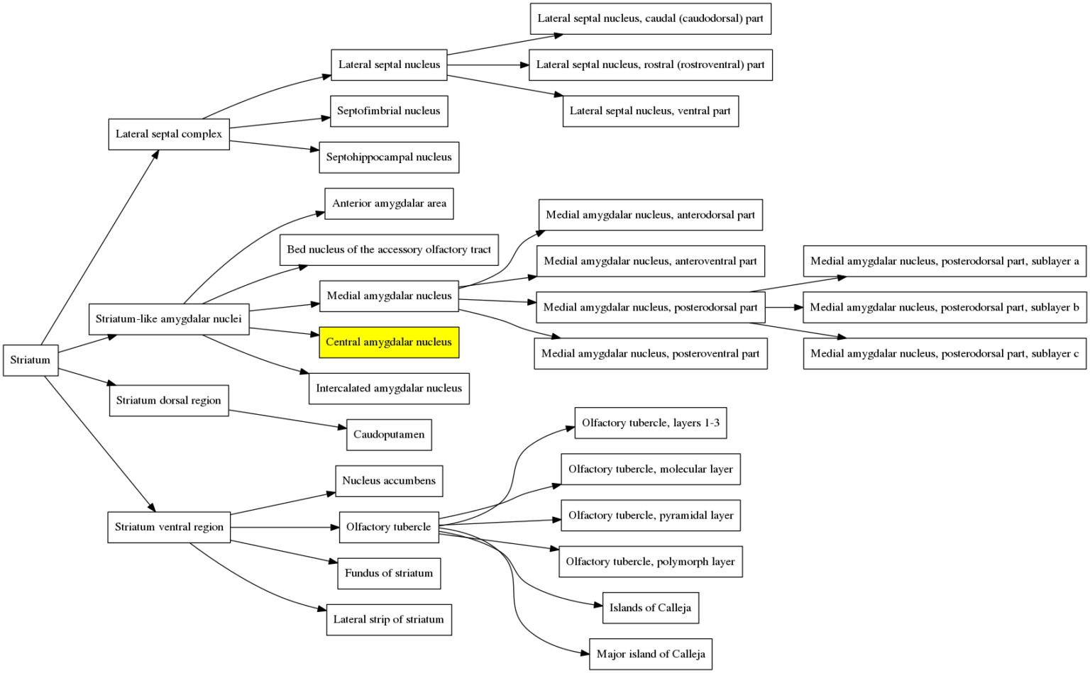 graphs about thebrain graphs about thebrain